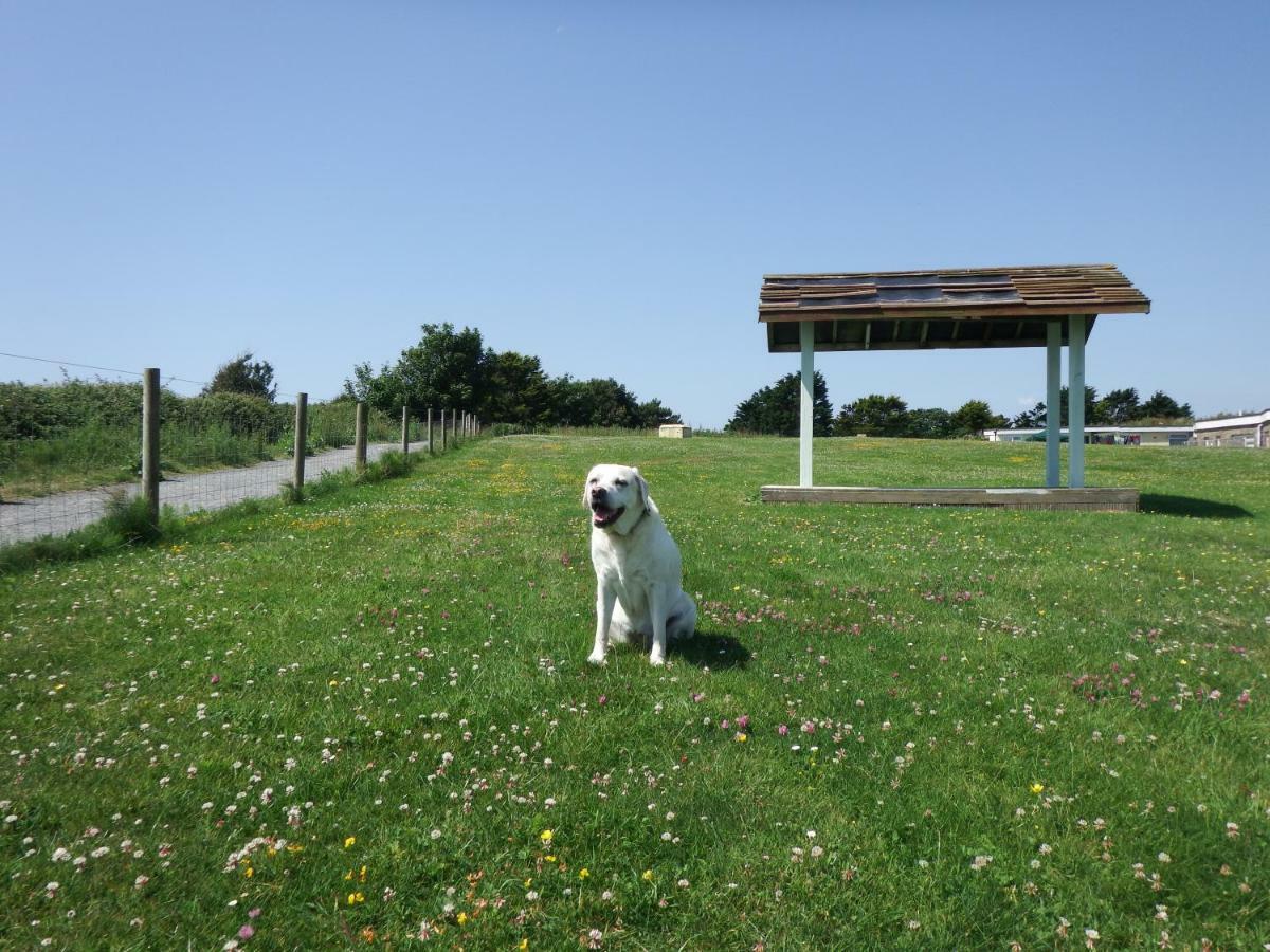 Crows Nest Villa Sandown Eksteriør billede